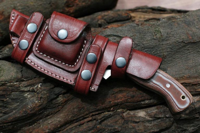 81+fWFv6ntL._AC_SL1500_